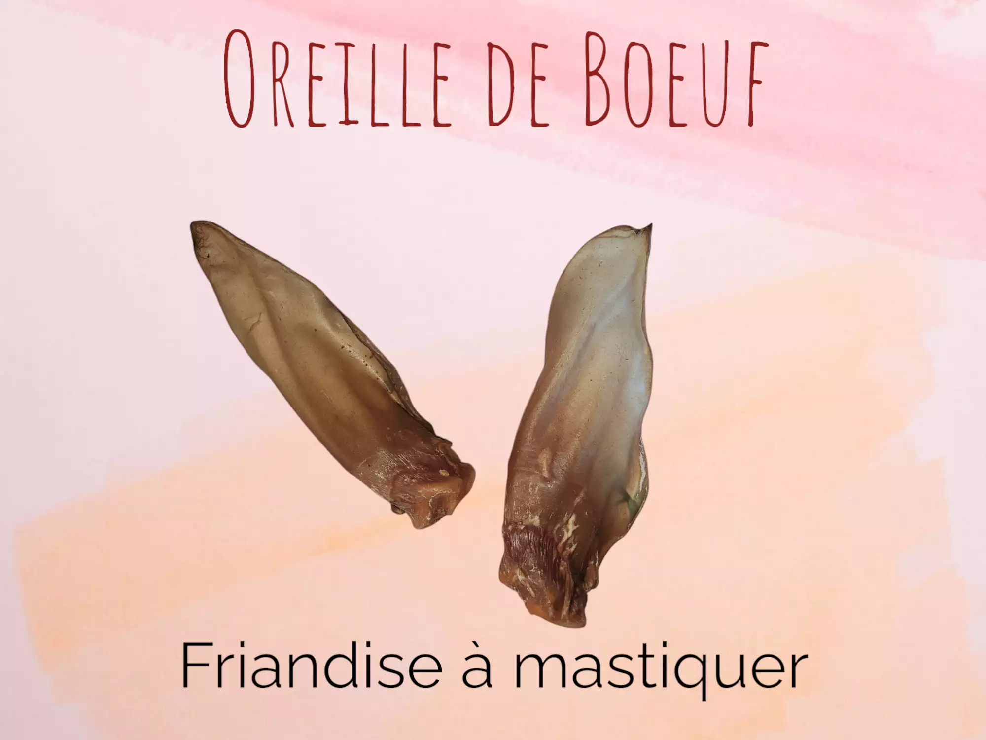 Oreille de Boeuf