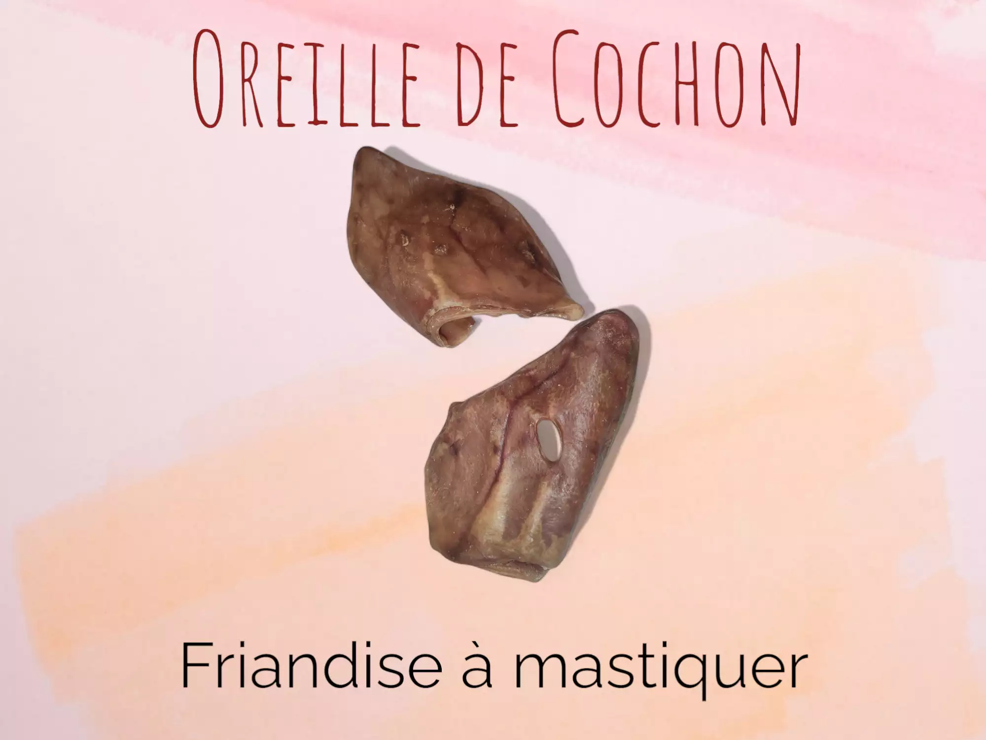 Oreille de Cochon