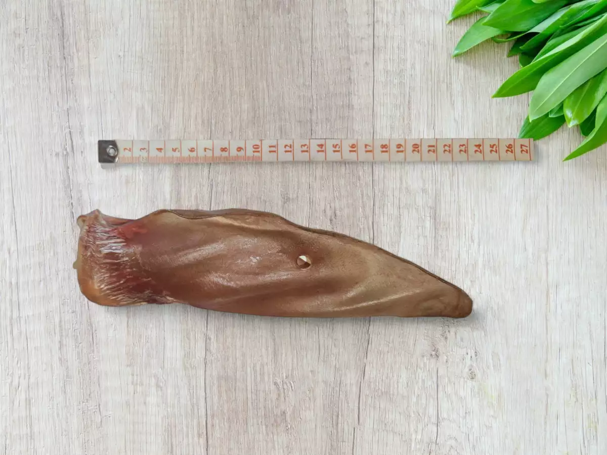 Oreille de Boeuf