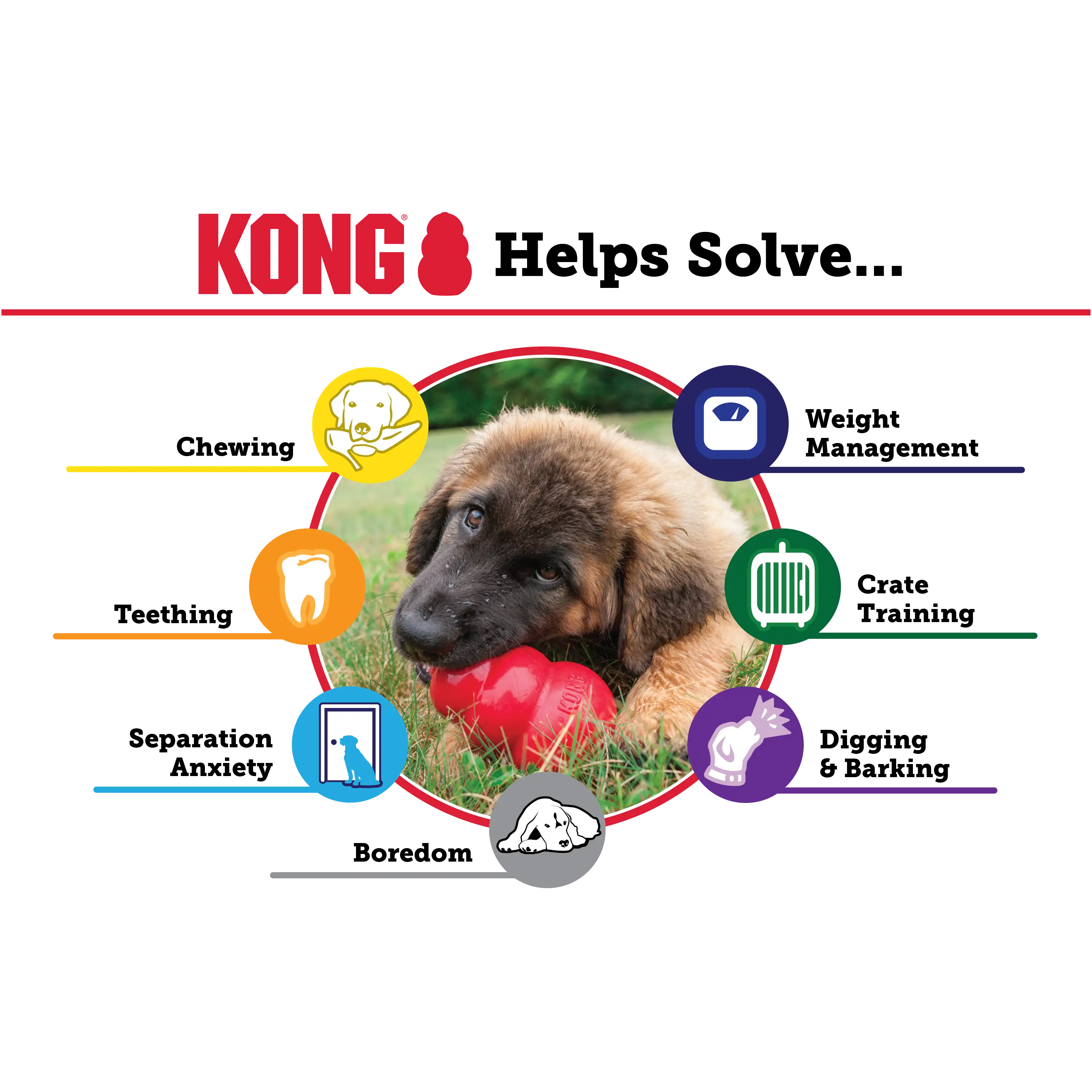 KONG Classic