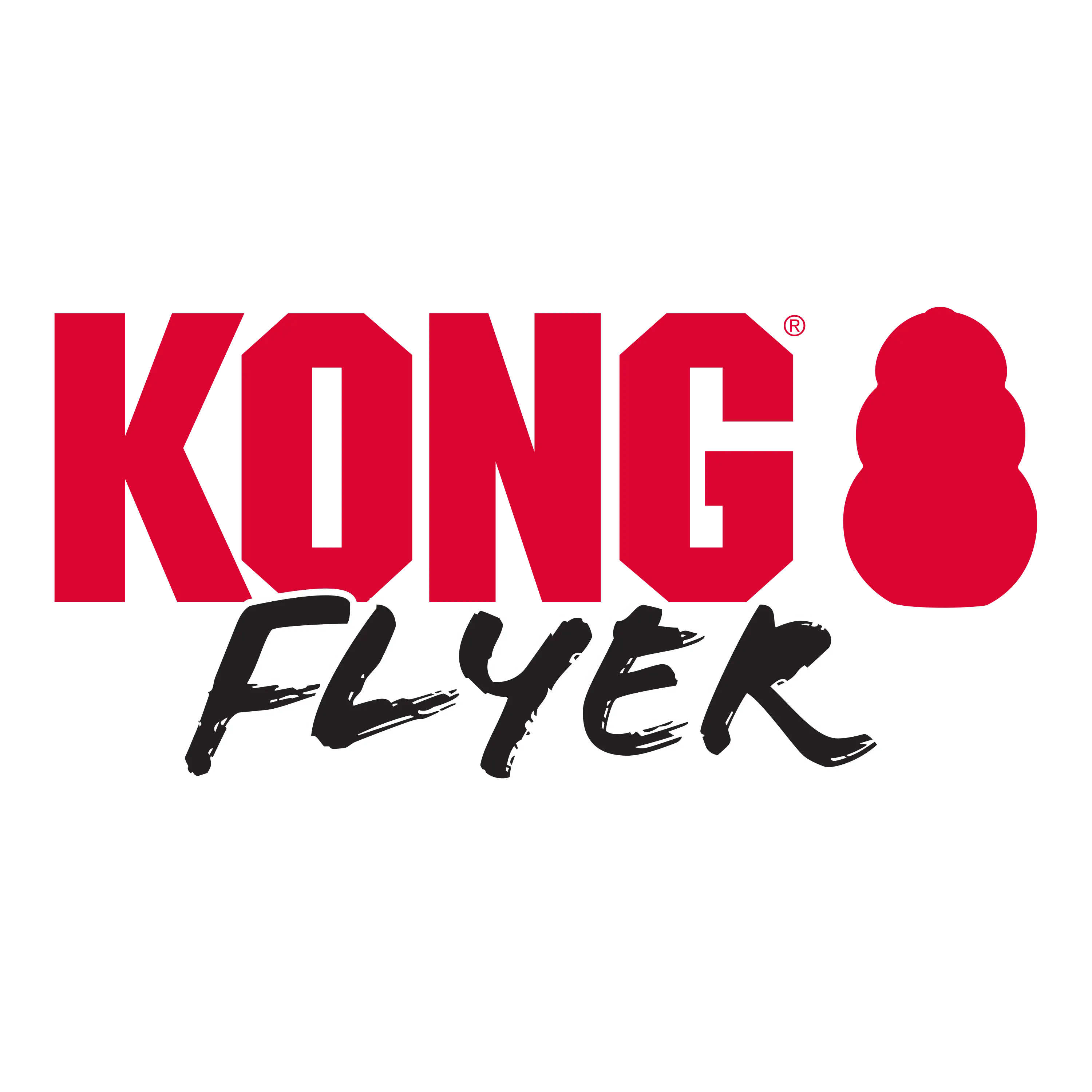 KONG Frisbee