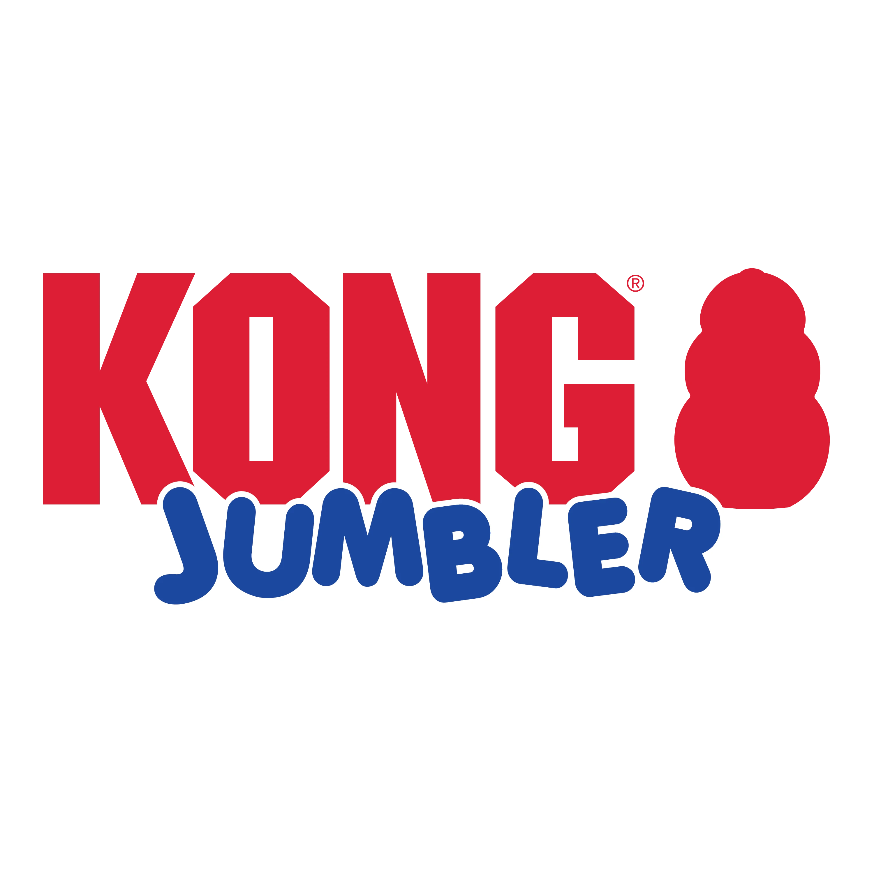 KONG Boule Jumbler