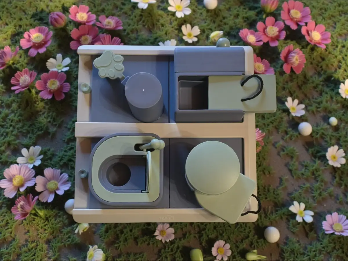 Puzzle d’Enrichissement – Poker Box 2