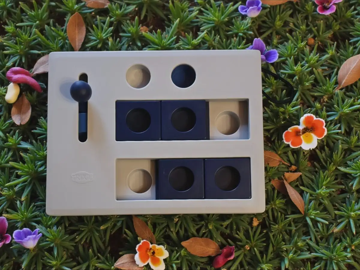 Puzzle d’Enrichissement – Mini Mover