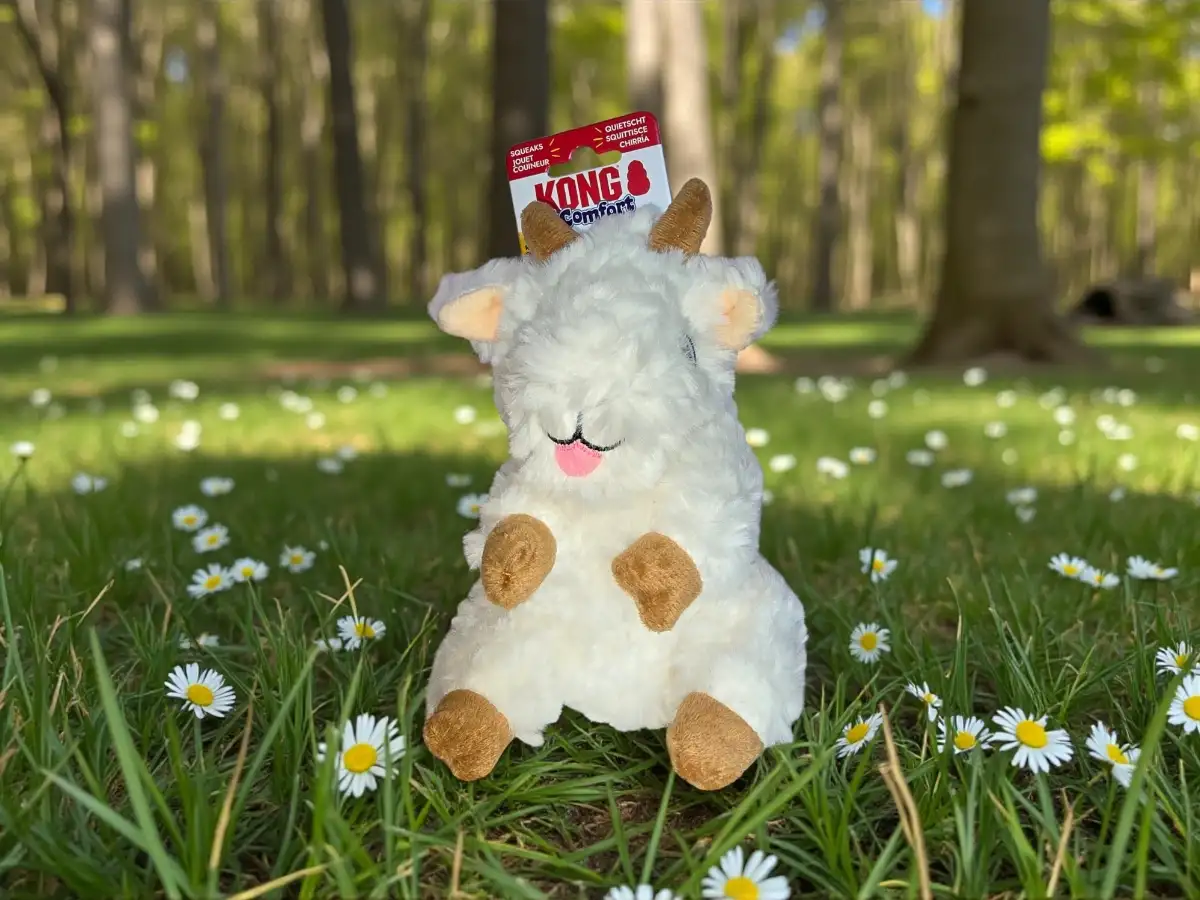 KONG Peluche Chèvre