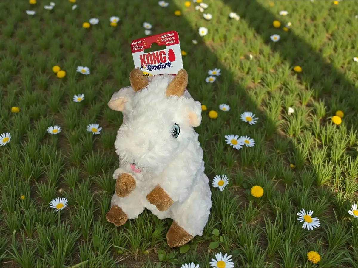 KONG Peluche Chèvre