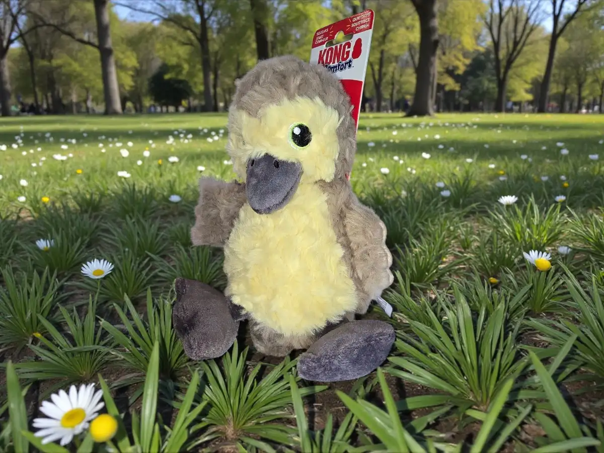 KONG Peluche Canard