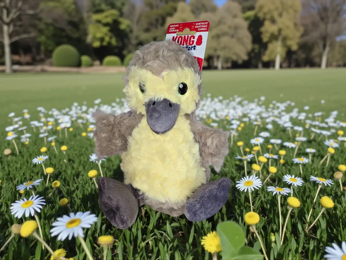 KONG Peluche Canard