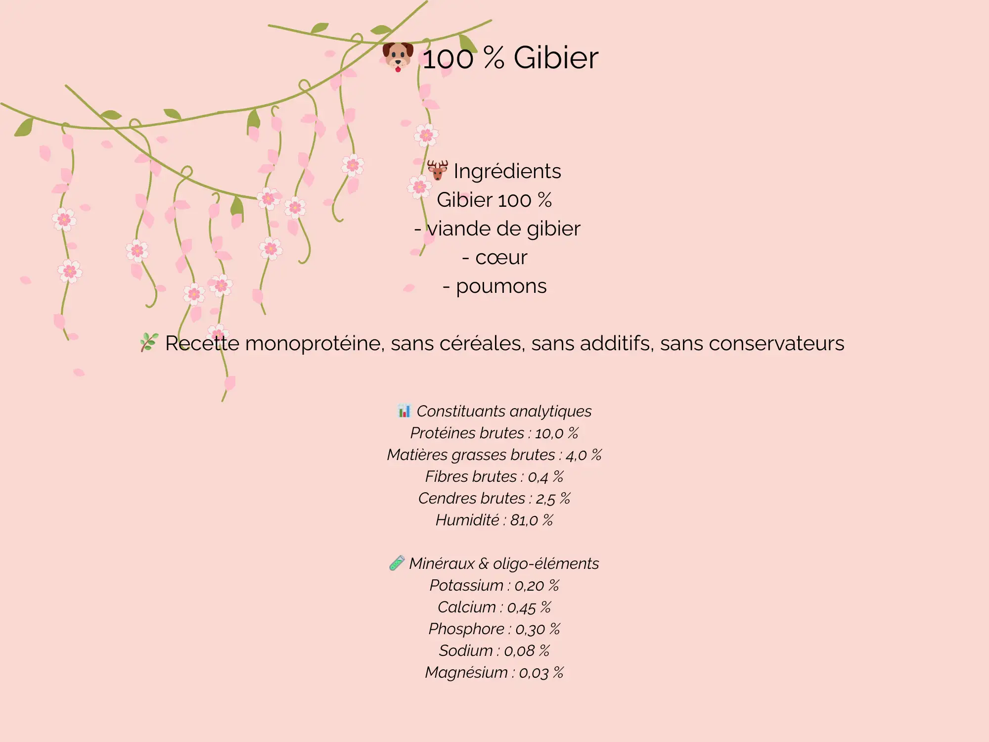 Pâtées naturelles pour chien